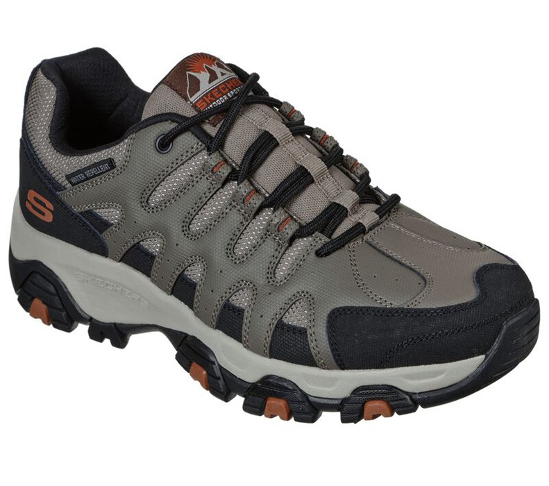 Skechers Terrabite - Dellga - Mens Hiking Boots Brown/Black [AU-AB4074]